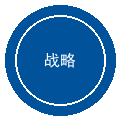 企业战略